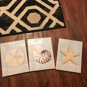Seashell wall Decor set of 3